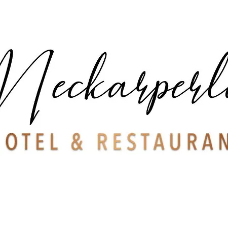 Neckarperle 게스트하우스